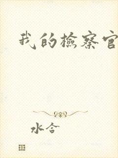 我的检察官先生