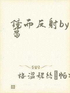 镜面反射by九葛