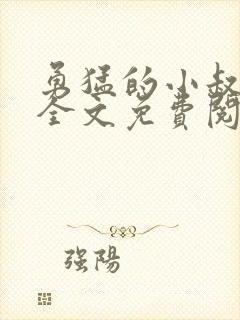 勇猛的小叔小说全文免费阅读