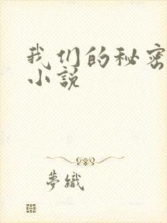 我们的秘密泰剧小说
