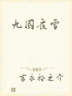 九国夜雪