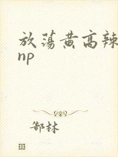 放荡黄高辣h文np