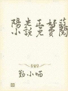 阳光正好苏玥玥小说免费阅读