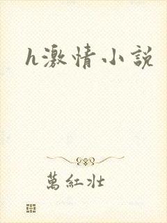 h激情小说