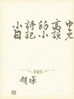 小诗的高中成长日记小说免费阅读