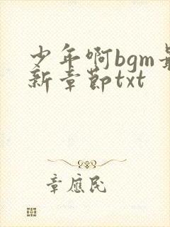 少年啊bgm最新章节txt