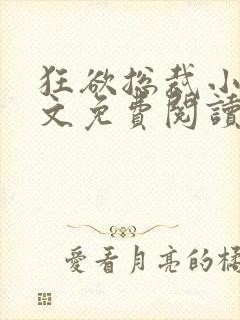 狂欲总裁小说全文免费阅读