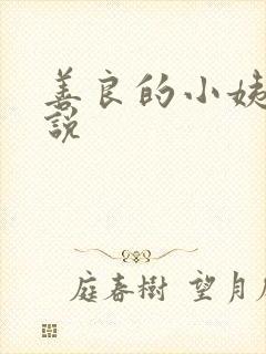 善良的小姨子小说