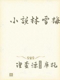 小说林雪梅