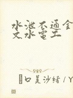 水泄不通金银原文水电工