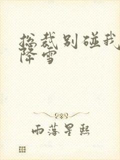 总裁别碰我 韩降雪