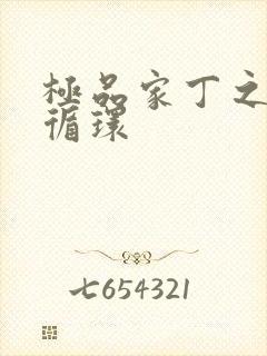 极品家丁之因果循环