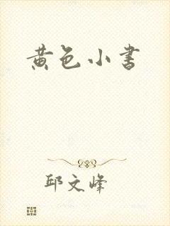 黄色小书
