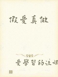 假爱真做