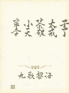 宁小茶太子殿下今天破戒了吗免费阅读