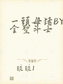 一头母猪BY黄金圣斗士