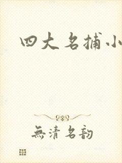 四大名捕小说