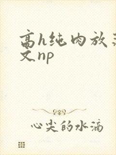 高h纯肉放荡h文np
