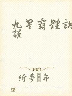 九星霸体诀 小说