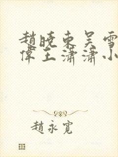 赵晓东吴雪晴郑伟王潇潇小说