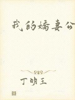 我的娇妻公务员