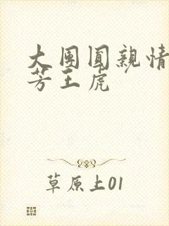 大团圆亲情会王芳王虎