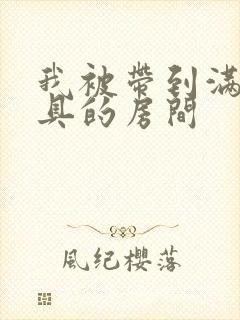 我被带到满是玩具的房间