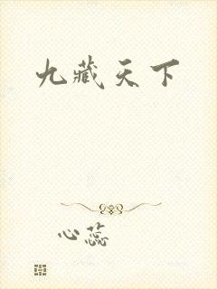 九藏天下