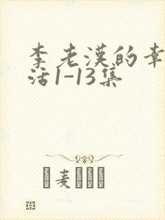 李老汉的幸福生活1-13集