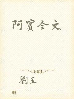 阿宾全文