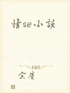 情se小说