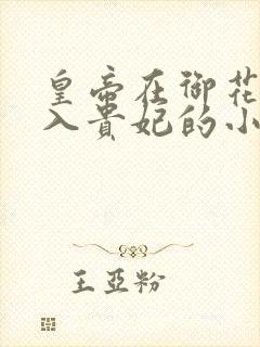 皇帝在御花园进入贵妃的小说