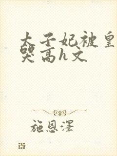 太子妃被皇上c哭高h文