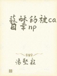 苏酥的被cao日常np