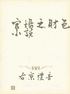 官场之财色诱人小说