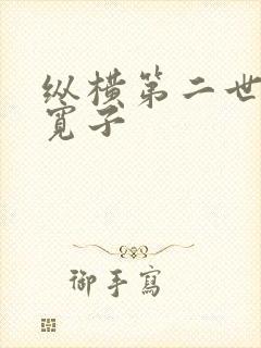 纵横第二世界 宽子