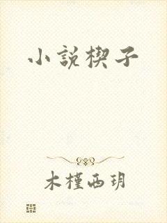 小说楔子