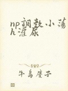 np调教小荡货h灌尿