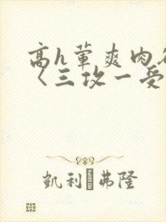 高h荤爽肉欲文〈三攻一受〉视频