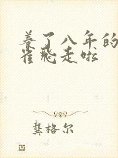 养了八年的金丝雀飞走啦