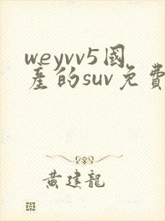 weyvv5国产的suv免费