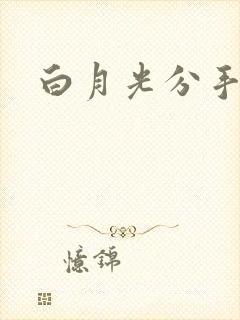 白月光分手日常