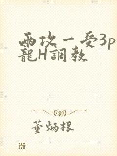 两攻一受3p双龙H调教