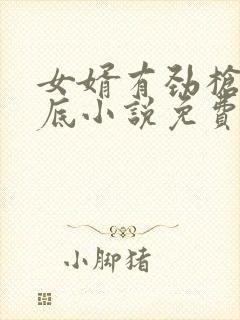 女婿有劲枪枪到底小说免费看