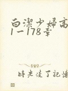 白洁少妇高义第1一178章