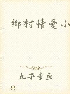 乡村情爱小说