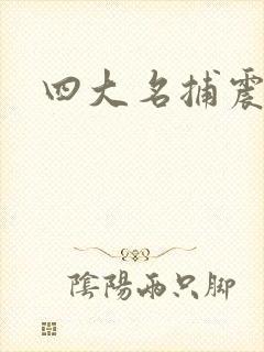 四大名捕震关东