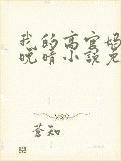 我的高官妈妈苏晚晴小说免费阅读