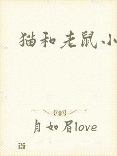 猫和老鼠小说