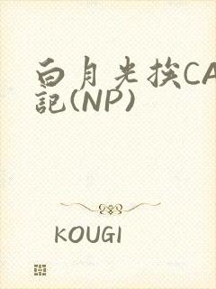 白月光挨CAO记(NP)